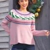 Retro Charm Raglan Sweater -ModCloth 207846 Pink 4