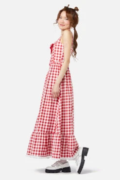 Jam Gingham Corset Dress -ModCloth DGFY157 004 03