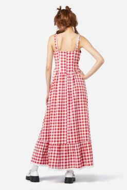 Jam Gingham Corset Dress -ModCloth DGFY157 004 04