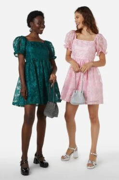 Amaretto Organza Embroidered Mini Dress – Fit & Flare Party Silhouette -ModCloth PGFX145 007 2