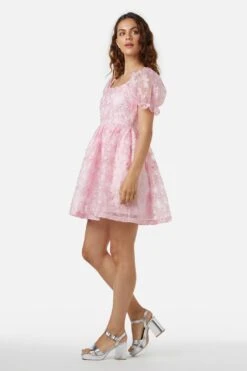 Amaretto Organza Embroidered Mini Dress – Fit & Flare Party Silhouette -ModCloth PGFX145 007 4