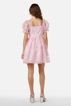 Amaretto Organza Embroidered Mini Dress – Fit & Flare Party Silhouette -ModCloth PGFX145 007 5