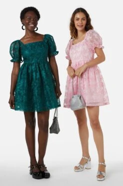 Amaretto Organza Embroidered Mini Dress – Fit & Flare Party Silhouette -ModCloth PGFX145 016 2