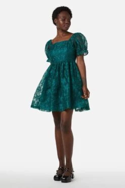 Amaretto Organza Embroidered Mini Dress – Fit & Flare Party Silhouette -ModCloth PGFX145 016 3