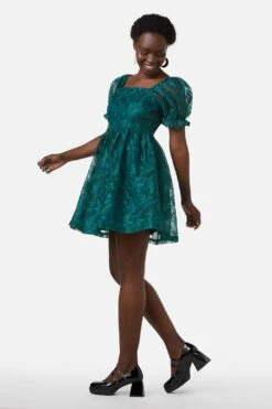 Amaretto Organza Embroidered Mini Dress – Fit & Flare Party Silhouette -ModCloth PGFX145 016 4