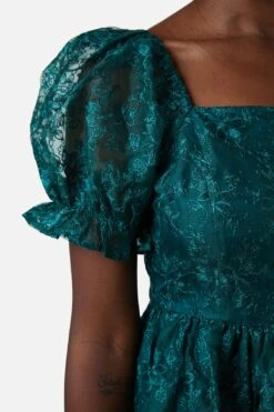 Amaretto Organza Embroidered Mini Dress – Fit & Flare Party Silhouette -ModCloth PGFX145 016 6